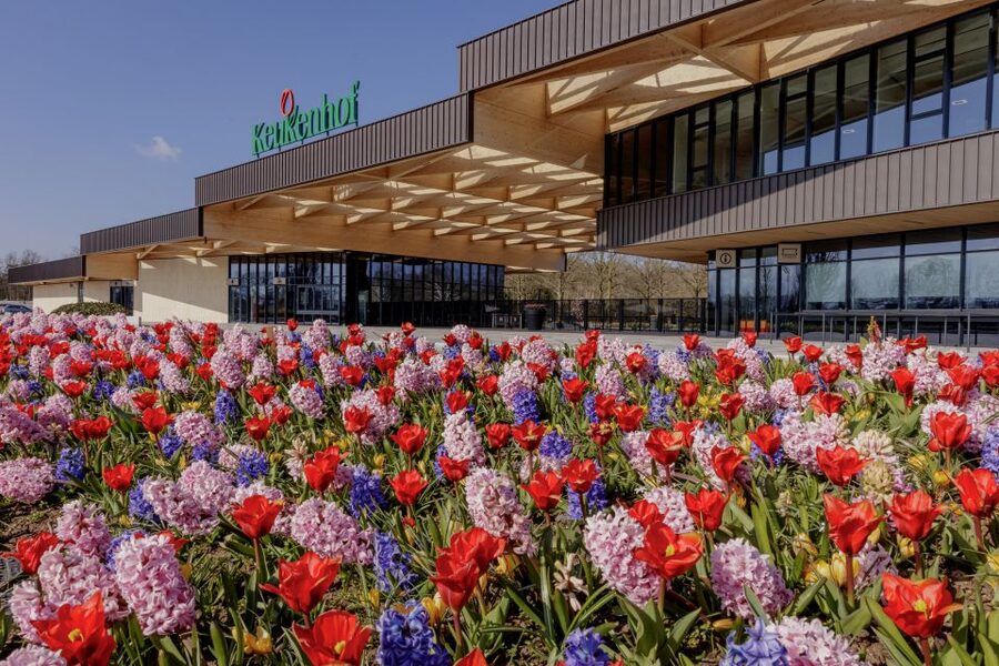 Amsterdam: Half-Day Flower Fields and Keukenhof Bicycle Tour - Flower nursery stop: turning a spring show into a real process