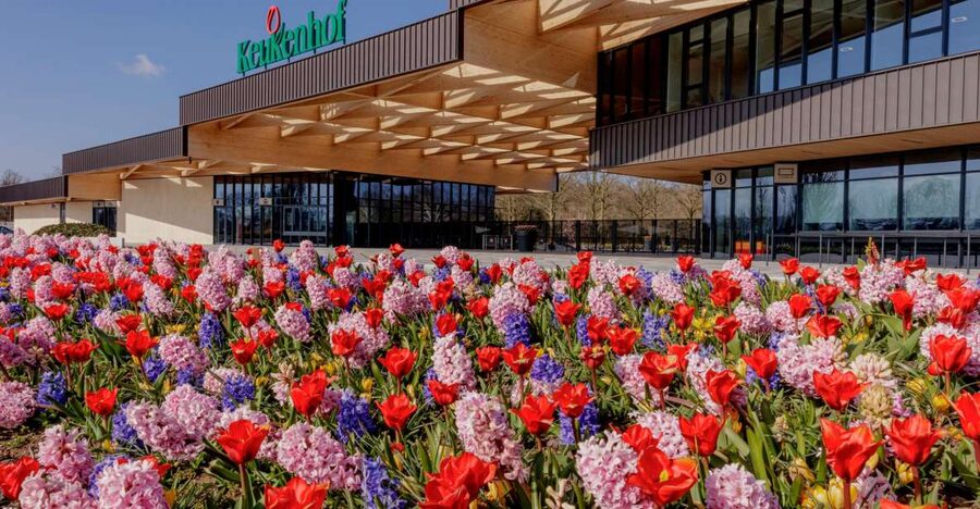 Amsterdam: Half-Day Flower Fields and Keukenhof Bicycle Tour - Cycling the bulb region: why the route feels easier than you expect
