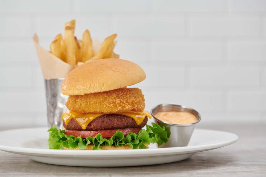 Amsterdam: Hard Rock Cafe Experience - Price and value: is $36 a good deal in Amsterdam?