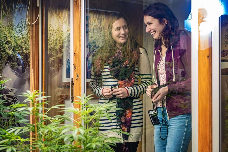 Amsterdam: Hash, Marihuana, and Hemp Museum Entry Ticket - Hash Marihuana & Hemp Museum: What You’re Getting in 1 Day