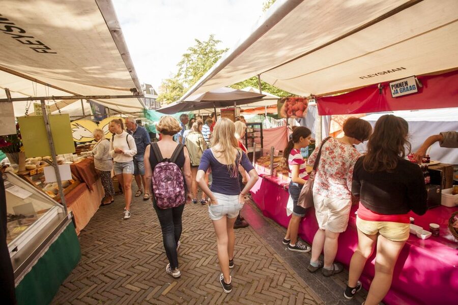 Amsterdam: Hidden Gems & Highlights Guided Bike Tour - Price and Value: What $44 Covers for 3 Hours