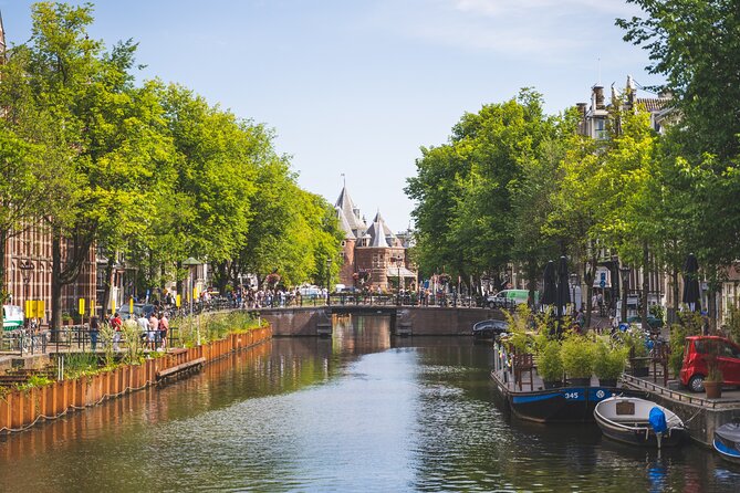 Amsterdam Highlights Small-Group Walking Tour - Begijnhof gardens, Spui-area moments, and quiet in the middle of town