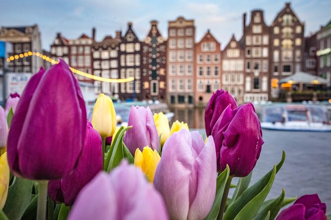 Amsterdam Highlights Walking Tour - Key highlights worth planning for