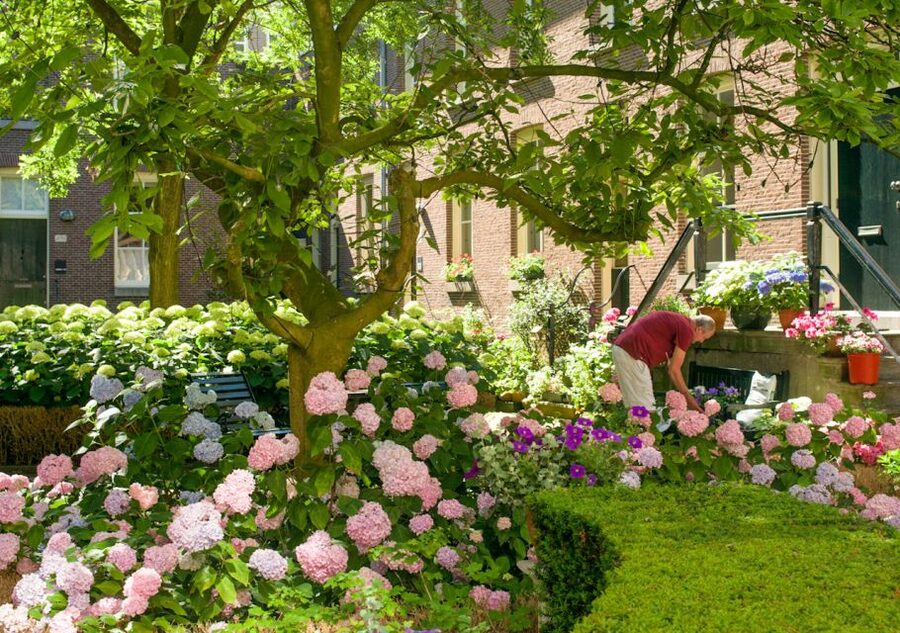 Amsterdam: Jordaan District Tour with a German guide - Quick Tips So You Enjoy Every Stop