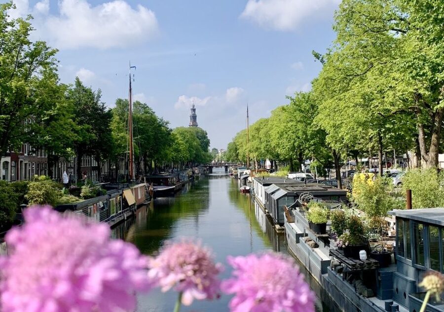 Amsterdam: Jordaan District Tour with a German guide - Price and Value: What You Pay For (and What You Get)