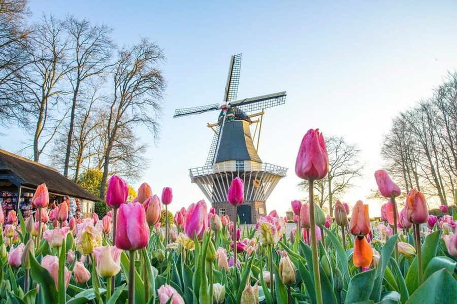 Amsterdam: Keukenhof and Zaanse Schans Live Guided Day Tour - The Drive to Lisse: Timing Your Day Around Spring