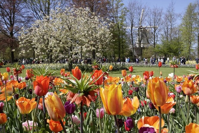 Amsterdam: Keukenhof Entry & Shuttle Bus with Flexible Return - Luxury shuttle to Keukenhof: what the 40-minute ride is really for