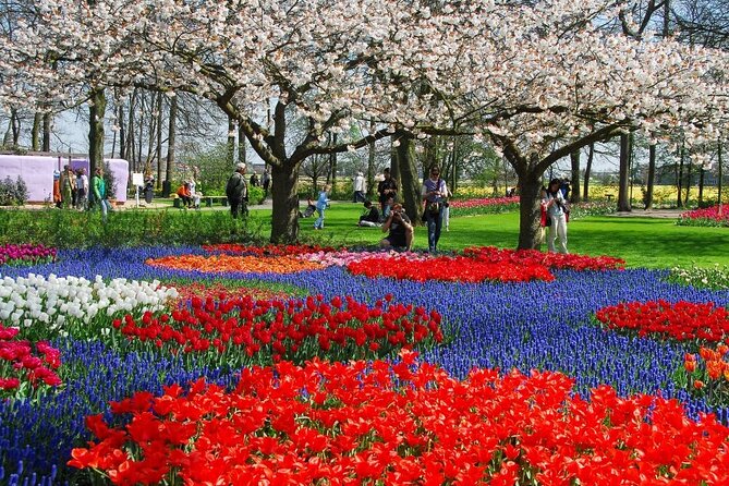 Amsterdam: Keukenhof Entry & Shuttle Bus with Flexible Return - What to expect inside: bulbs, displays, and the season effect