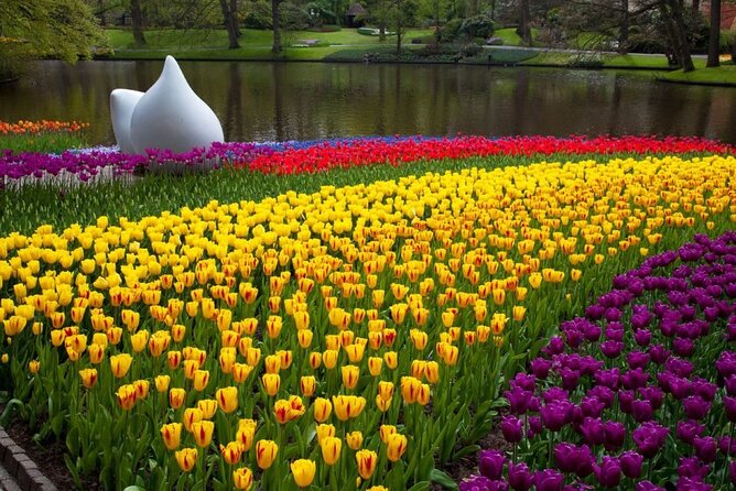 Amsterdam: Keukenhof Entry & Shuttle Bus with Flexible Return - Price and value: why $42.33 can make sense