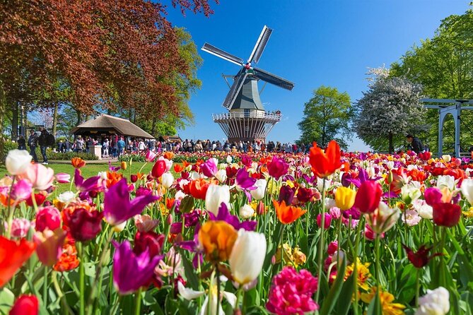 Amsterdam: Keukenhof Entry & Shuttle Bus with Flexible Return - Keukenhof at your pace: using the flexible return buses smartly