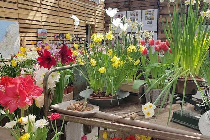 Amsterdam : Keukenhof FlowerFarm Privatetour Skip-The-Line ticket - What’s included, what’s not, and why it matters
