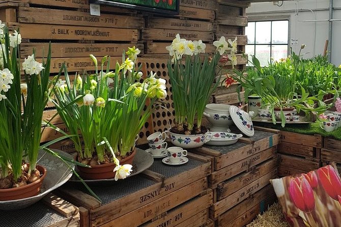 Amsterdam : Keukenhof FlowerFarm Privatetour Skip-The-Line ticket - Timing, tickets, and the small comfort details