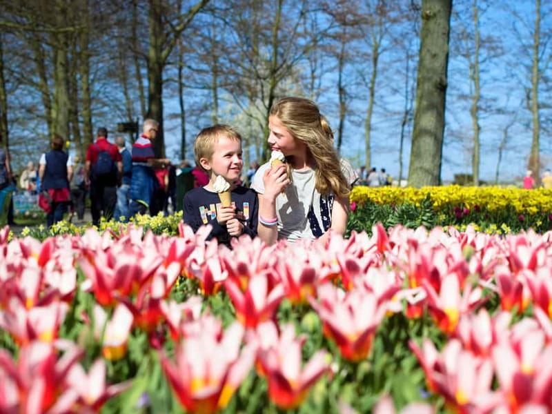 Amsterdam: Keukenhof Ticket and Roundtrip Shuttle Transfer - Keukenhof Shuttle Fast Facts You Actually Need