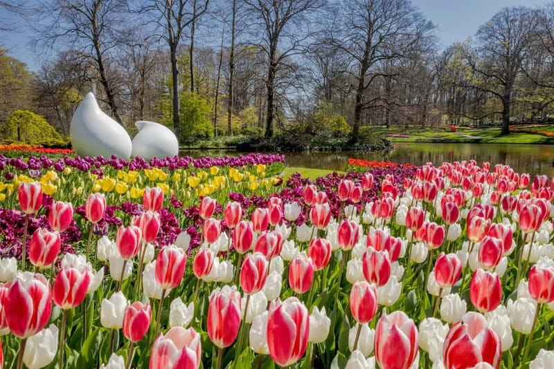 Amsterdam: Keukenhof Ticket and Roundtrip Shuttle Transfer - Small Planning Tips That Make a Difference