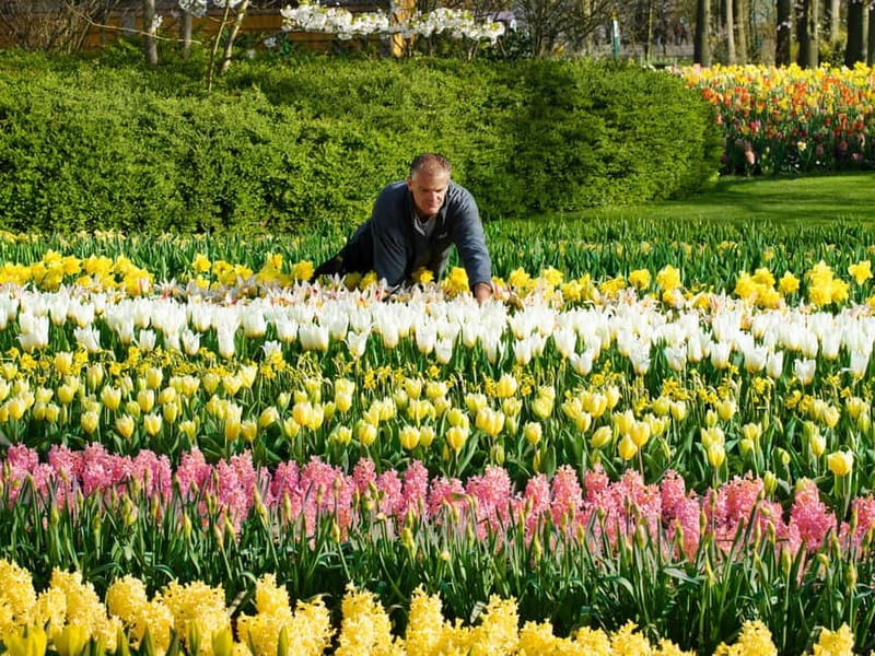 Amsterdam: Keukenhof Ticket and Roundtrip Shuttle Transfer - Keukenhof in Your Own Time, Not a Rigid Tour