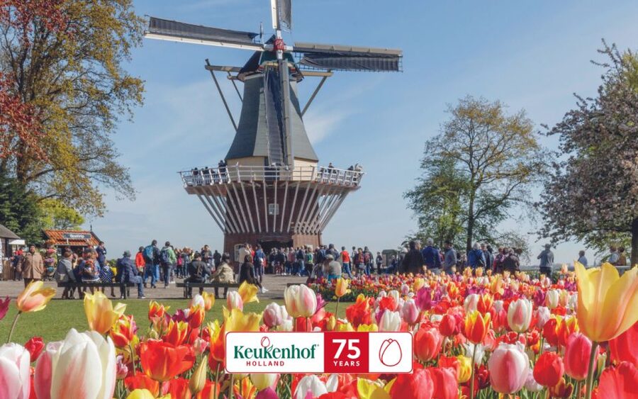 Amsterdam: Keukenhof Ticket and Roundtrip Shuttle Transfer - The Luxury Coach Ride: Comfort, Guaranteed Seat, and Timing