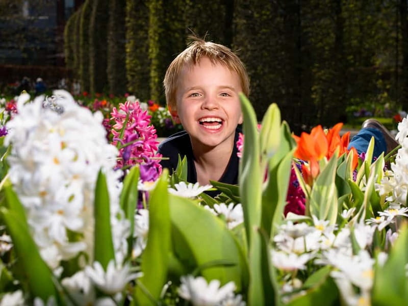 Amsterdam: Keukenhof Ticket and Roundtrip Shuttle Transfer - Leaving Keukenhof: The 30-Minute Shuttle Rhythm Back to Amsterdam
