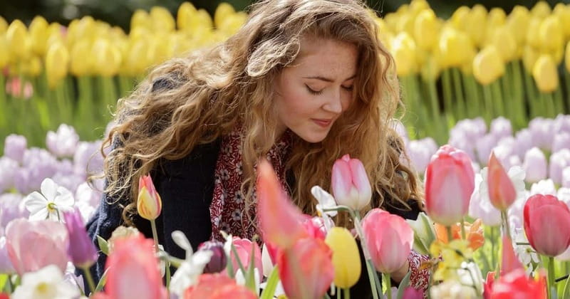 Amsterdam: Keukenhof Ticket and Roundtrip Shuttle Transfer - Who This Works Best For (and Who Should Rethink It)