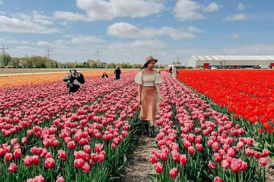 Amsterdam: Keukenhof, Tulip Farm Full-Day Tour with Cruise - Key highlights at a glance