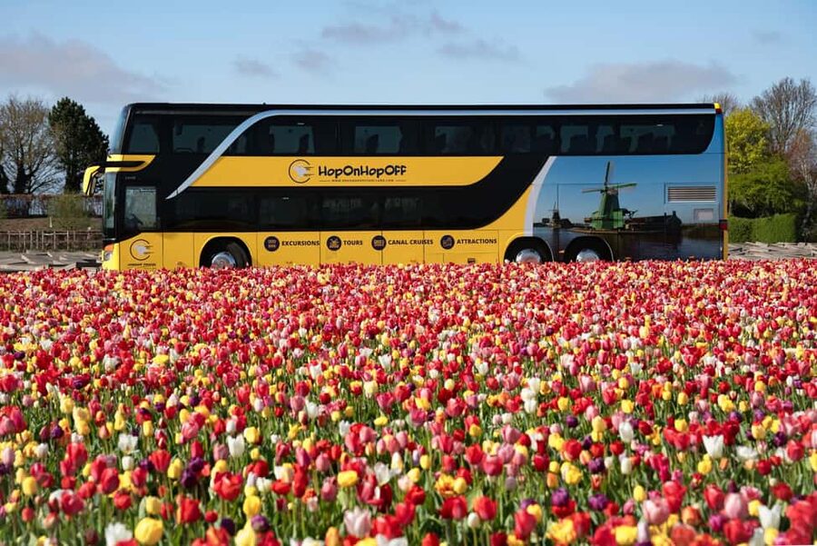 Amsterdam: Keukenhof, Tulip Farm Full-Day Tour with Cruise - 12:00 to 13:00: the 1-hour windmill cruise on Kagerplassen