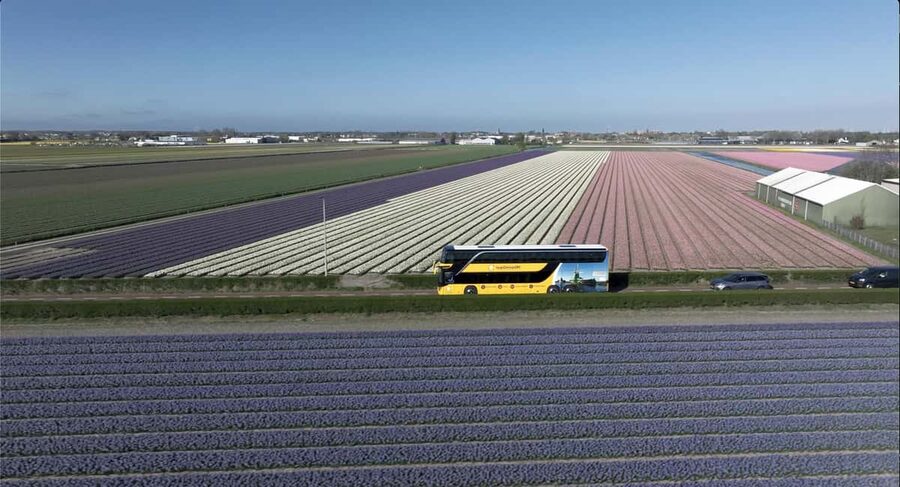 Amsterdam: Keukenhof, Tulip Farm Full-Day Tour with Cruise - 13:00 transfer to Keukenhof, plus the flower region drive