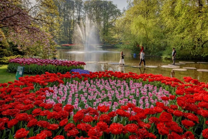 Amsterdam: Keukenhof, Tulip Farm Full-Day Tour with Cruise - Keukenhof at 13:30 and beyond: wander time that you control