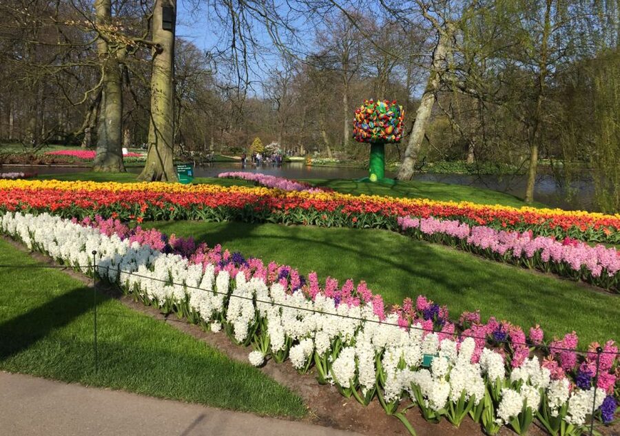 Amsterdam: Keukenhof Tulip Garden and Giethoorn Experience - Key Things I’d Book This For