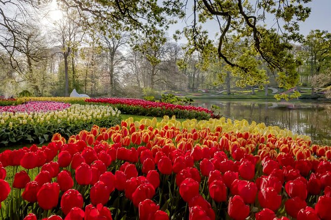 Amsterdam: Keukenhof, Zaanse Schans & Volendam Tour - Should you book this Amsterdam: Keukenhof, Zaanse Schans & Volendam tour?