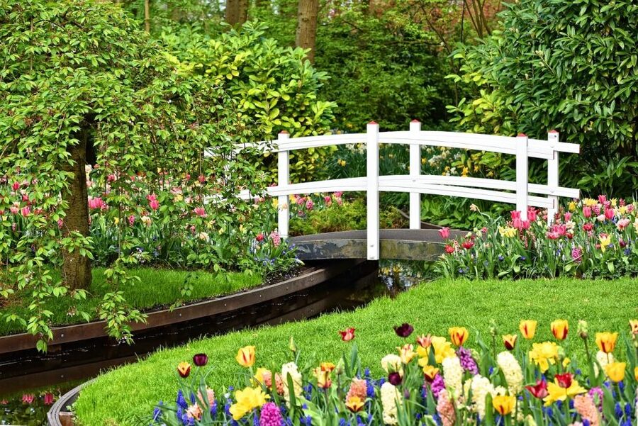Amsterdam: Keukenhof & Zaanse Schans Windmills Private Tour - Who this tour suits best