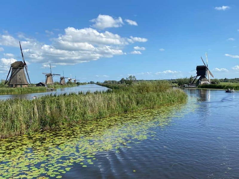 Amsterdam: Kinderdijk, Euromast, Delft and Den Haag Day Tour - Should you book this Amsterdam day tour?