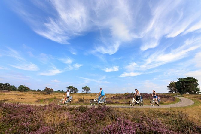 Amsterdam: Kröller Müller Museum and Hoge Veluwe NP Private Tour - Price and Value: Is $72 a Smart Use of Your Day?