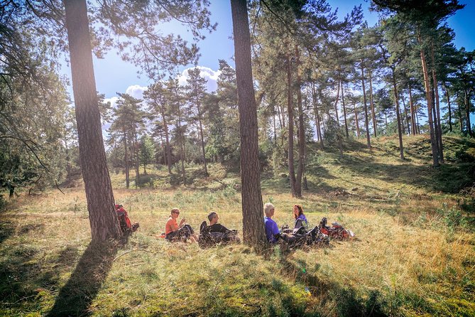 Amsterdam: Kröller Müller Museum and Hoge Veluwe NP Private Tour - Who This Tour Fits Best (And Who Should Rethink It)