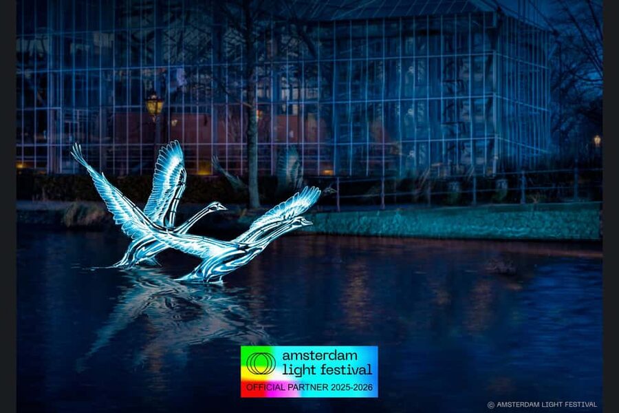 Amsterdam: Light Festival Heated Cruise with Drinks & Snacks - Why a Heated Saloon Boat Changes the Light Festival