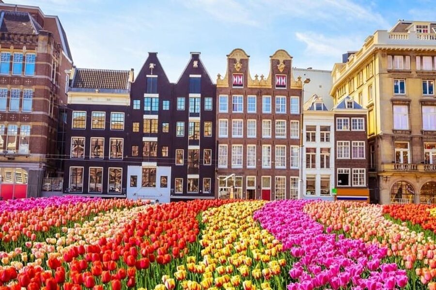Amsterdam: Must-See Attractions Guided Walking Tour - Portuguese Synagogue and Nieuwmarkt Square: Religion and Trade Meet in Public Space