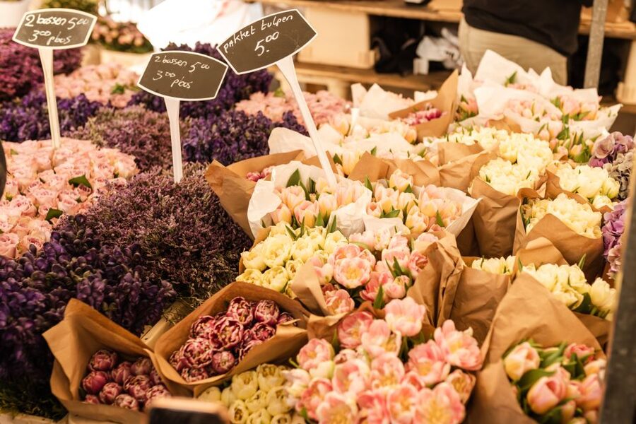 Amsterdam: Off-the-Beaten-Track Neighborhoods Private Tour - Price and value: what you’re actually paying for at about $108 per person