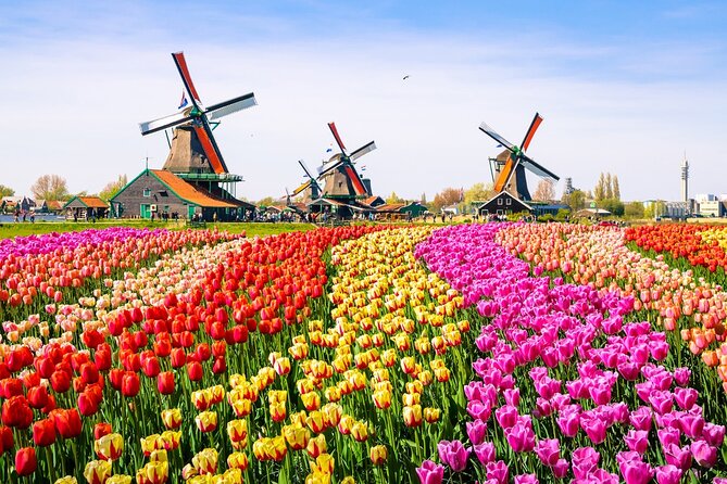 Amsterdam Pass: 45+ Things To Do - Includes Rijksmuseum - Modern art and city views: Moco Museum and A’DAM Lookout