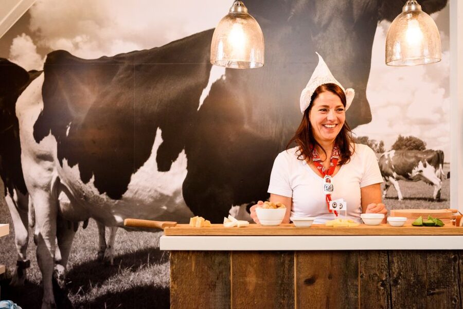 Amsterdam: Premium Henri Willig Cheese Tasting Experience - First bite in old Amsterdam: what you are really signing up for