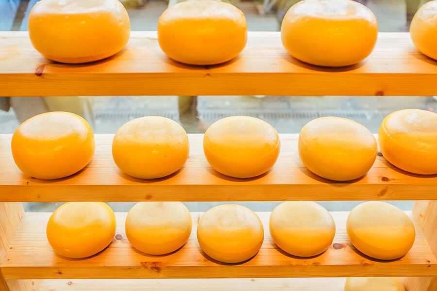 Amsterdam: Premium Henri Willig Cheese Tasting Experience - Value check: why $21 for this tasting can make sense
