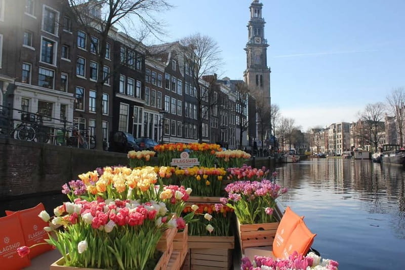 Amsterdam: Premium Tulip Boat Canal Tour - Key things to know before you go