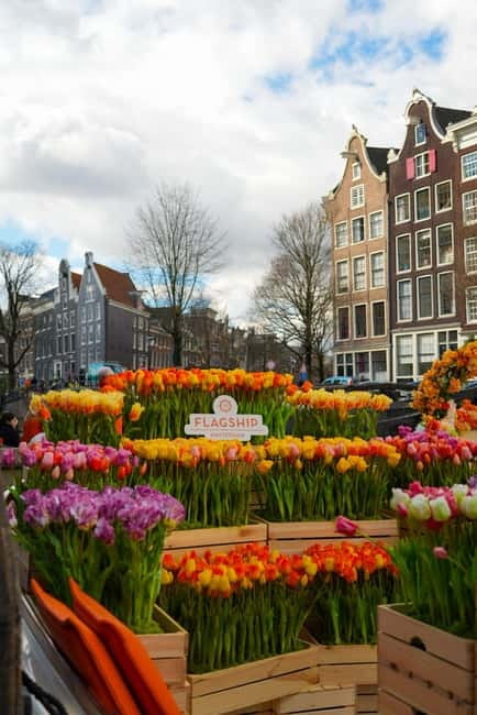 Amsterdam: Premium Tulip Boat Canal Tour - What boarding feels like, and the simple things to do right