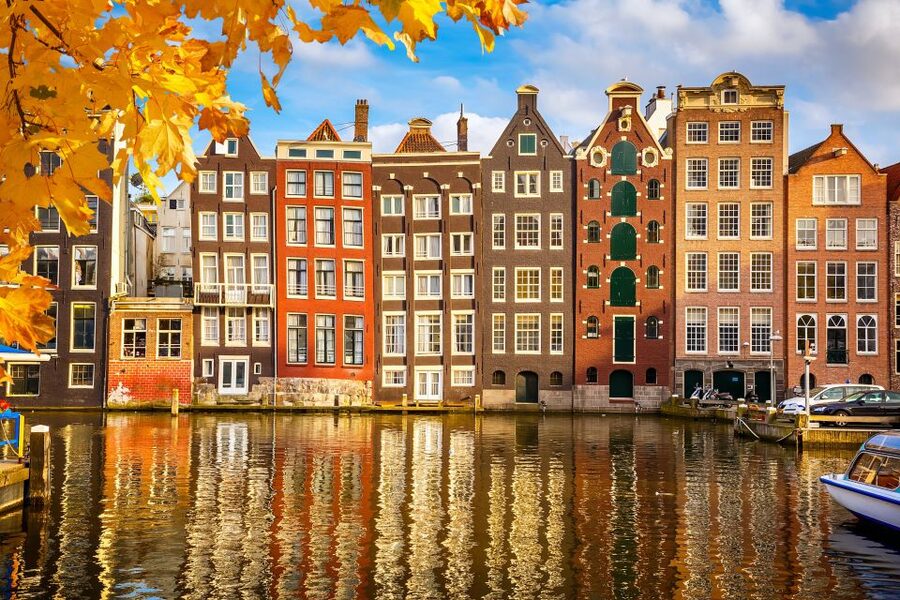 Amsterdam: Private Guided Walking Tour - Price and Value: what $206 per group actually buys you