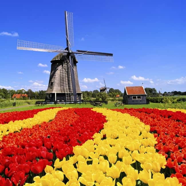 Amsterdam: Private Keukenhof and Free Tulip Tour - Pickup and drop-off: where this tour really saves your energy