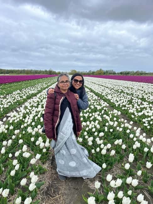 Amsterdam: Private Keukenhof and Free Tulip Tour - Price and value: what you are paying for, and what to budget
