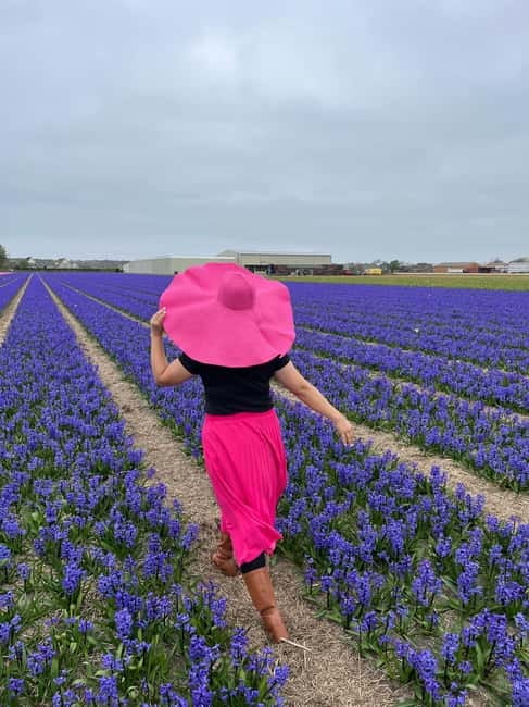 Amsterdam: Private Keukenhof and Free Tulip Tour - Who this private Keukenhof and tulip-fields tour is best for