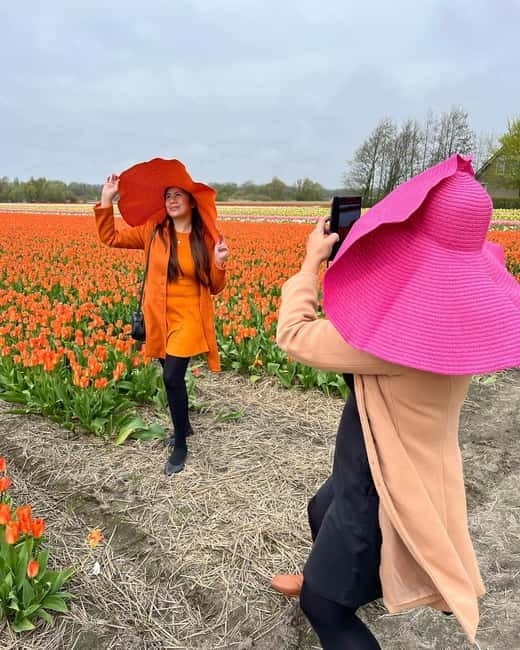 Amsterdam: Private Keukenhof and Free Tulip Tour - The drive to Keukenhof: comfort, water, and a plan in motion
