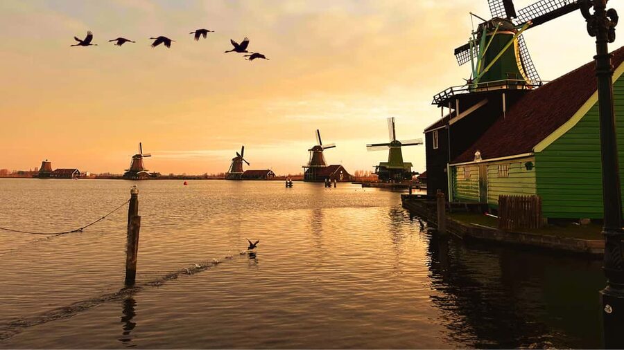 Amsterdam: Private Tour Giethoorn, Zaanse Schans Local Guide - Key highlights worth planning around