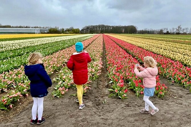 Amsterdam Private Tour to Keukenhof, Tulip Fields and Windmills - Pickup in Amsterdam: start when you want to, not when the bus does
