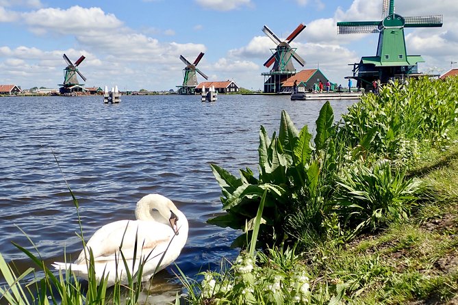 Amsterdam private tour to windmills, cheese farm and villages - Why this Amsterdam private windmills, cheese farm, and villages tour feels different