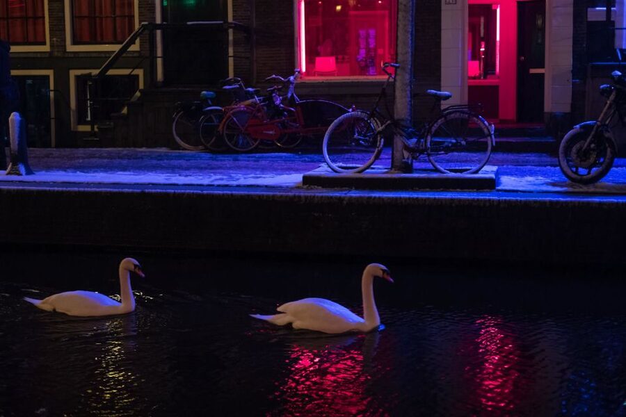 Amsterdam: Red Light District and Coffeeshop Culture Tour - Starting With Context: How the Walk Gets You Oriented Fast