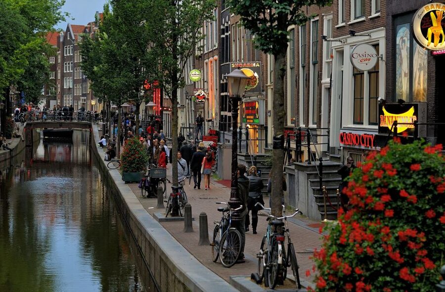 Amsterdam Red Light District tour with a local guide - A 2-Hour Red Light District Walk With a Local Lens